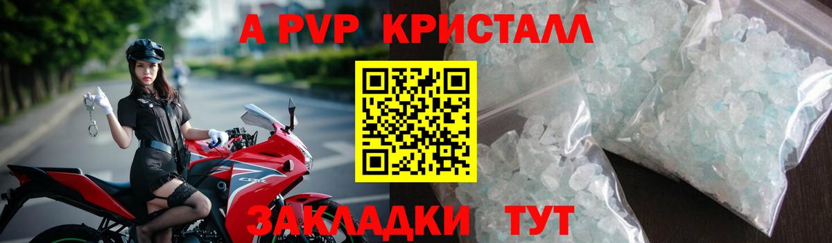 Галлюциногенные грибы Курчатов