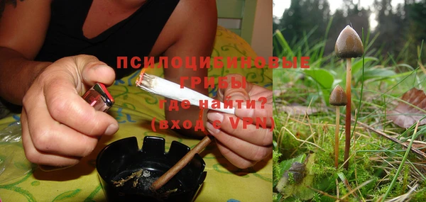 мяу мяу мука Осинники
