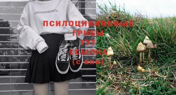 apvp Нязепетровск