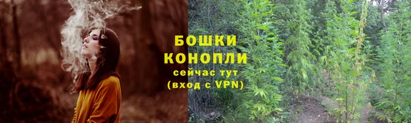 PSILOCYBIN Осташков