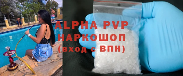 PSILOCYBIN Осташков
