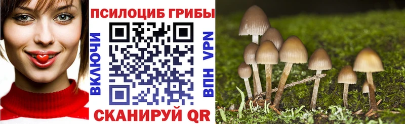 Псилоцибиновые грибы Magic Shrooms Курчатов