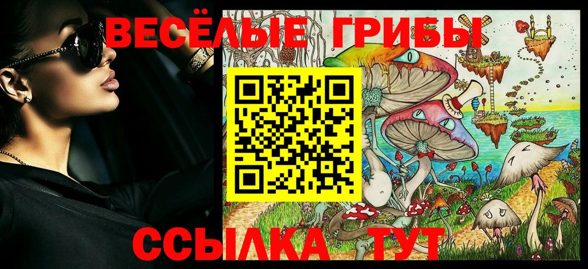 Курчатов  Псилоцибиновые грибы GOLDEN TEACHER  Галлюциногенные грибы MAGIC MUSHROOMS  Вход с VPN 